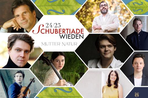 The event poster for the Schubertiade Wieden shows a collage of color photos in honeycomb form of the individual musicians, with the lettering and motto of the event written in a honeycomb