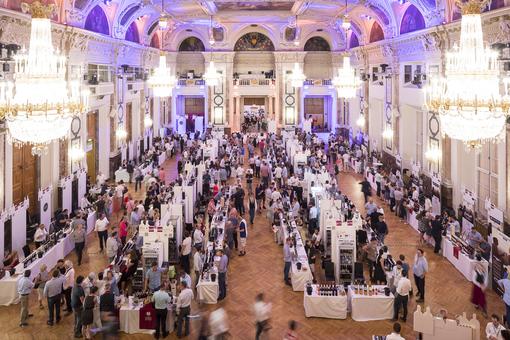 Hall in the Vienna Hofburg, photo from above on the stands of the VieVinum wine fair
