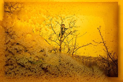 A yellow image showing honeycombs in the foreground and a Chinese worker pollinating on a tree in the background