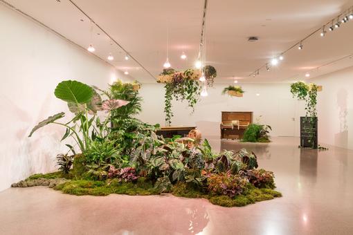 Exhibition view: an arrangement of plants like a plant island in an exhibition room, in the background pieces of furniture and a piano